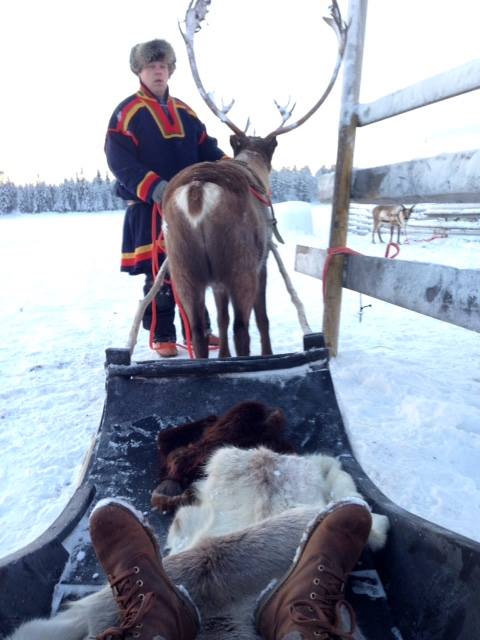 12654613_446034608934700_4007656231402434546_n